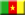 Cameroun (Master Doctorat Affaires Commerce International)