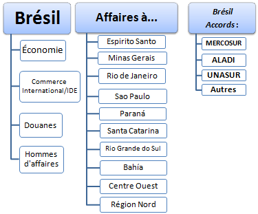 Cours Master : commerce international et affaires au Brésil, São Paulo, Rio de Janeiro, Santa Catarina, Minas Gerais