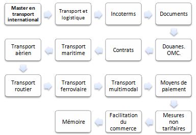 Master en transport international (commerce international, FOAD Online) fournir toutes les connaissances, les techniques et les outils nécessaires pour gérer toutes les questions liées au transport international de marchandises.