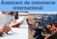 Formation online (cours, master, doctorat) : Assistant de commerce international