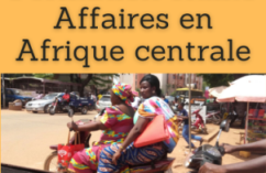 Formation online (cours, master, doctorat) : affaires en Afrique centrale