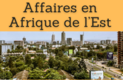 Formation online (cours, master, doctorat) : affaires en Afrique de l’Est