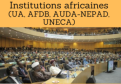 Formation online (cours, master, doctorat) : Institutions africaines (UA, AFDB, AUDA-NEPAD, UNECA)