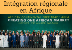 Formation online (cours, master, doctorat) : Intégration régionale en Afrique