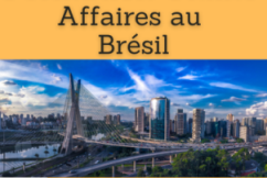 Formation online (cours, master, doctorat) : affaires au Brésil