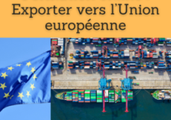 Formation online (cours, master, doctorat) : Exporter vers l’Union européenne