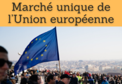 Formation online (cours, master, doctorat) : Marché unique de l’Union européenne