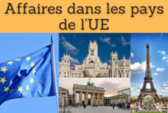 Formation online (cours, master, doctorat) : Affaires dans les pays de l’UE