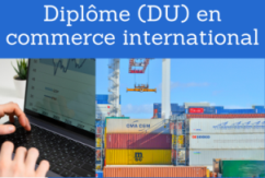 Formation online (cours, master, doctorat) : Diplôme professionnel (DU) en commerce international