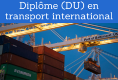 Formation online (cours, master, doctorat) : Diplôme professionnel (DU) en transport international