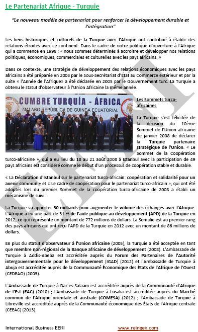 Commerce international Afrique-Turquie