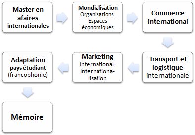 Master FOAD en affaires internationales (commerce international, marketing international et internationalisation)