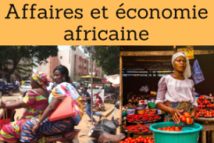 Affaires et économie africaine